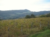 Le Mont Thou