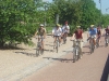 Le Parc de Gerland
